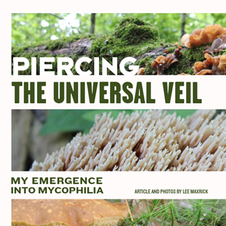 magazine spread of an article about mushrooms titled piercing the universal veil