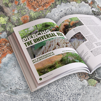 magazine mockup floating over a photo of green and orange lichen