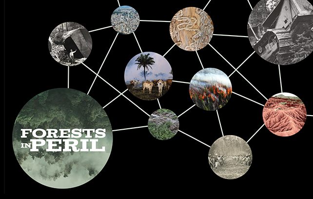 Forests in Peril web of interconnected images illustrating causes and effects of deforestation