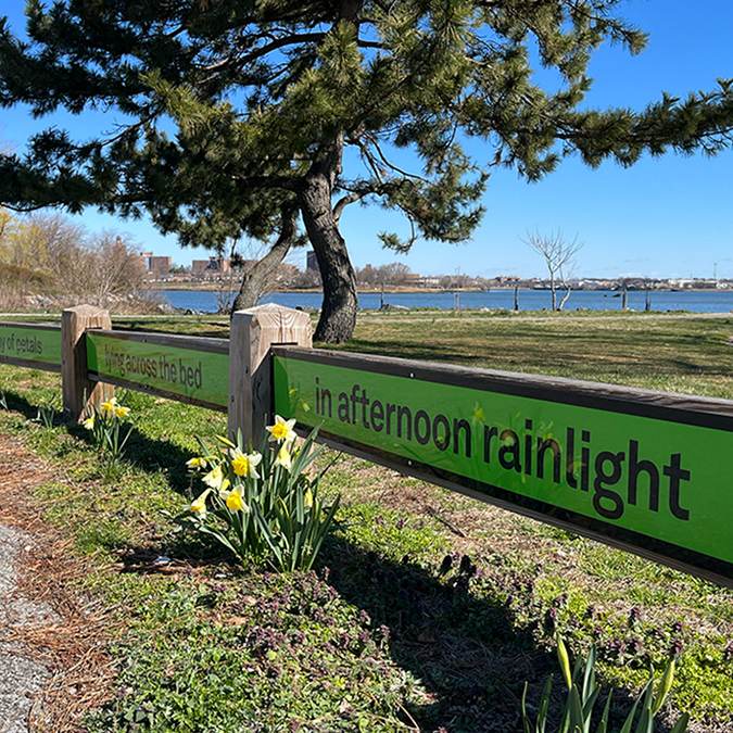 a green sign in a park that shows an excerpt from a W.S. Merwin poem and the reflection of yellow daffodils
