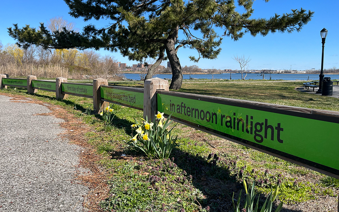 a green sign in a park that shows an excerpt from a W.S. Merwin poem and the reflection of yellow daffodils